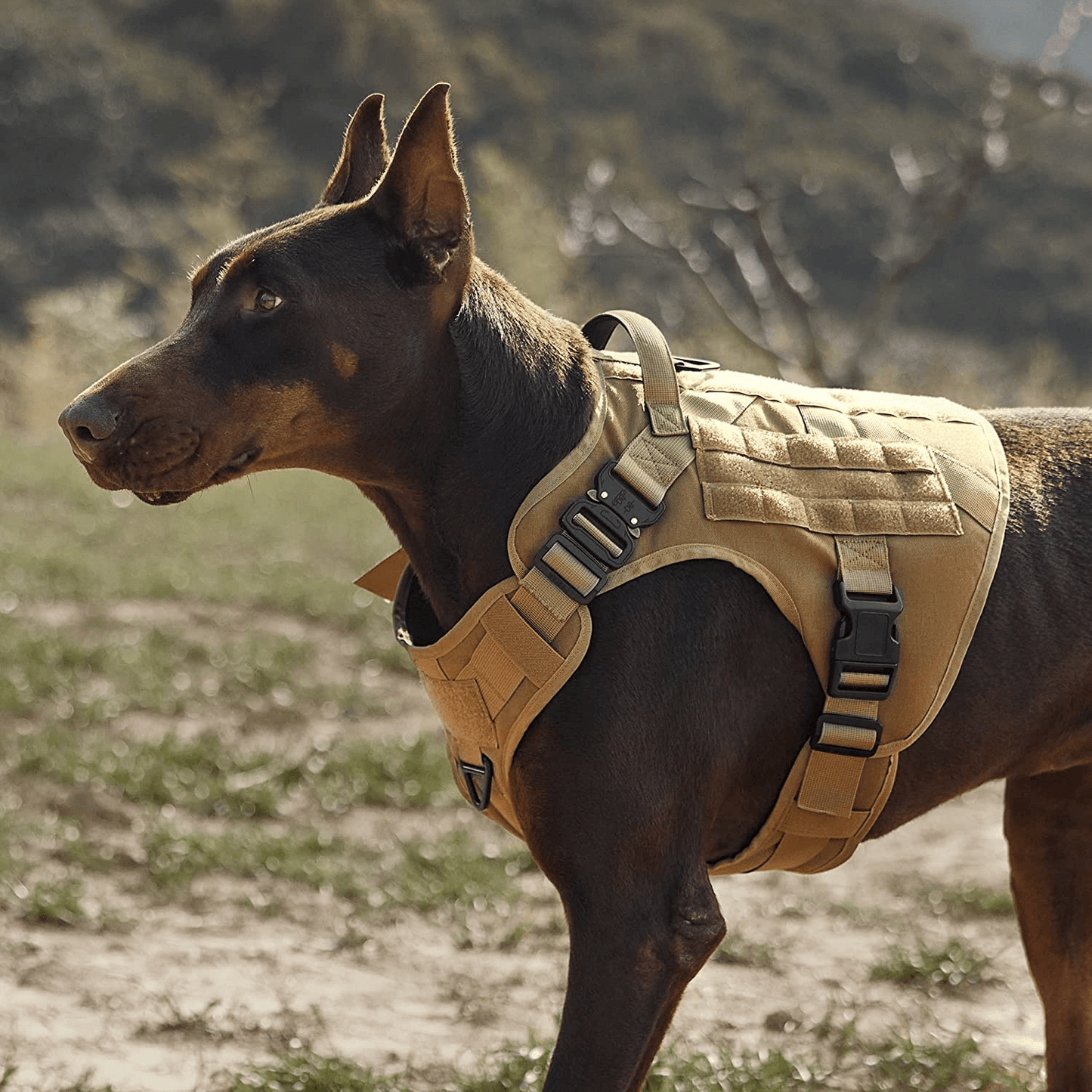 Harnais militaire – Équipé d'un système anti-traction.