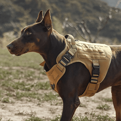 Harnais militaire – Équipé d'un système anti-traction.