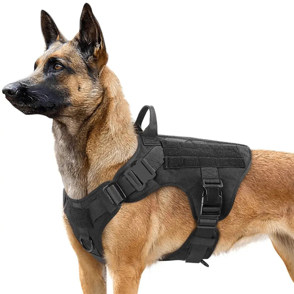 Harnais militaire – Équipé d'un système anti-traction.
